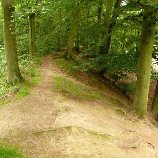 Ringwall der Marienburg bei Nordstemmen