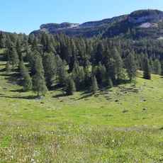 Riserva naturale guidata della Scanuppia