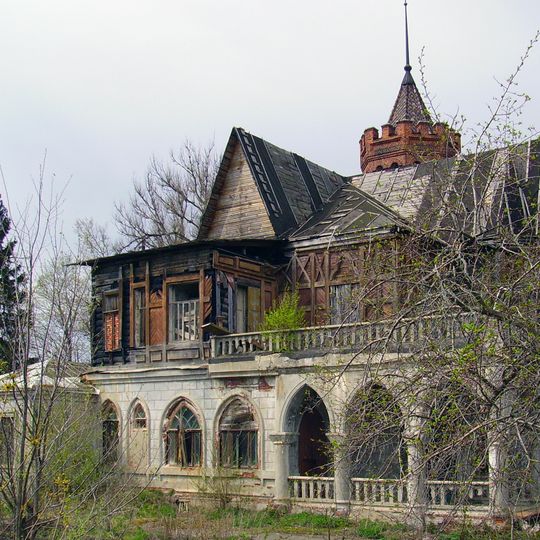 Senkov's manor, Vyazniki
