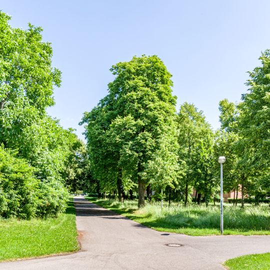 Lindenhain sog. „Allee“ St. Georgen