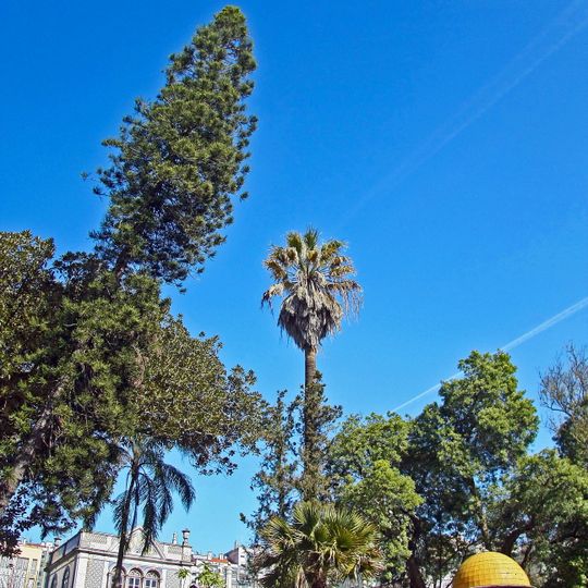 Jardim do Palácio do Beau-Séjour