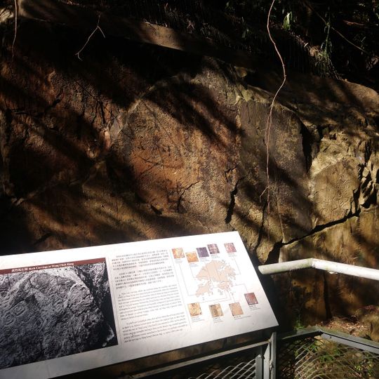 黃竹坑石刻 Rock Carvings at Wong Chuk Hang