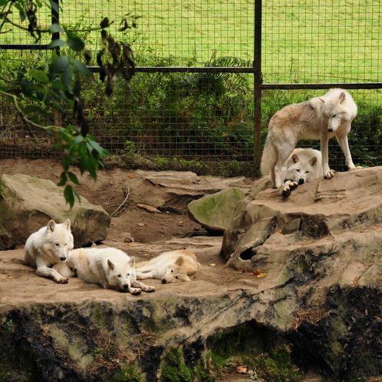 Combe Martin Wildlife and Dinosaur Park