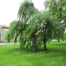 Památník na Antonína Švehlu ve Žďáru