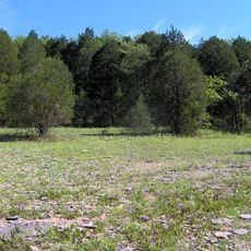 Cedars of Lebanon State Park