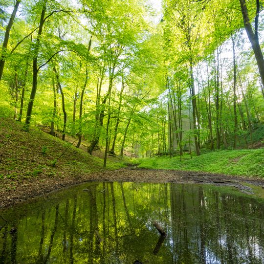 NSG Schmitterbachtal