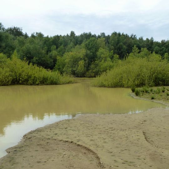 Bognor Common Quarry