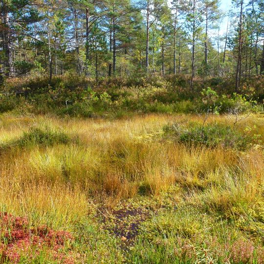 Älta mosse-Strålsjön