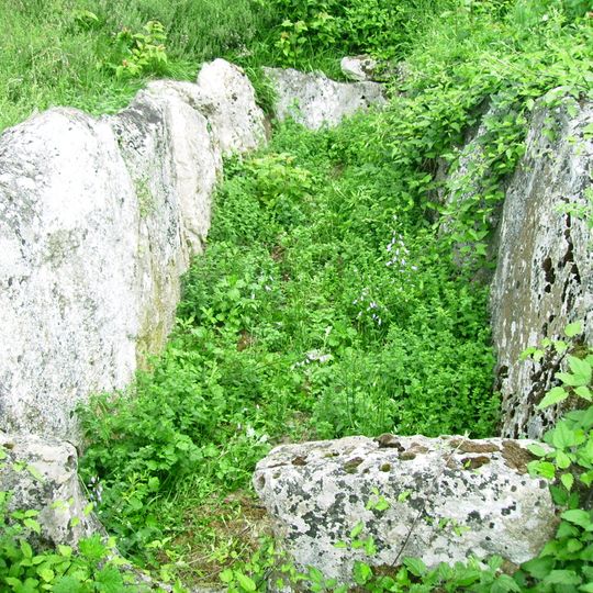 Allée couverte du Blanc Val