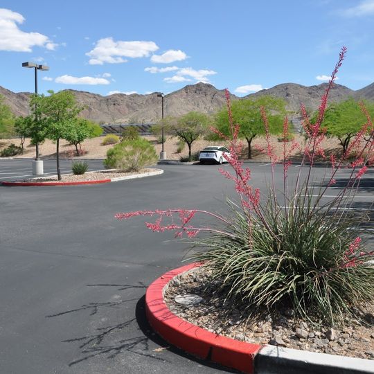 Nevada State College