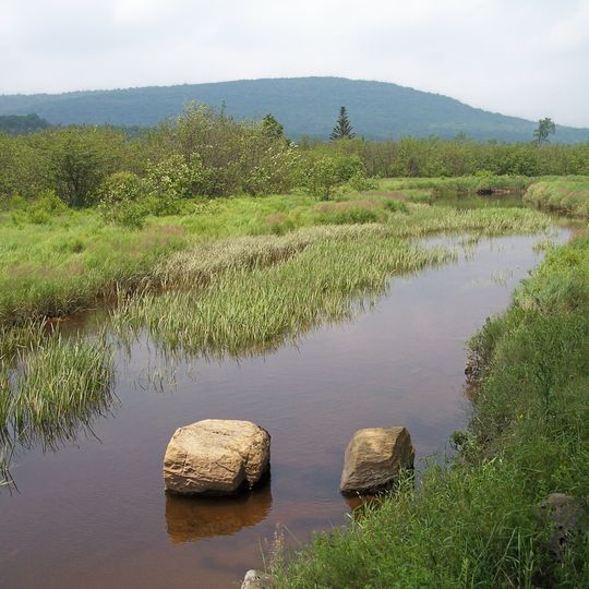 Parc d'État de Canaan Valley Resort