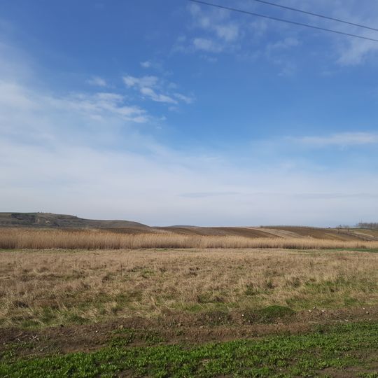 Așezare - Molești - I