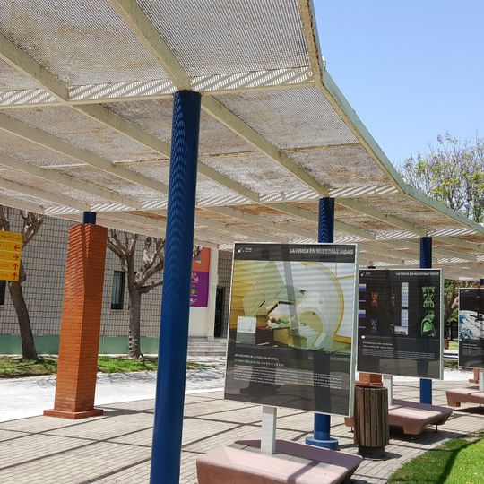 MUDIC Universidad Miguel Hernández