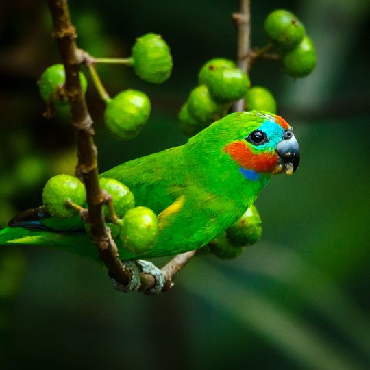 Gadgarra National Park