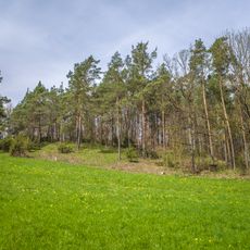 Simonsberg-Fuchsrangen