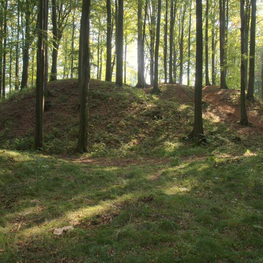 Burgruine Heinrichsbürg