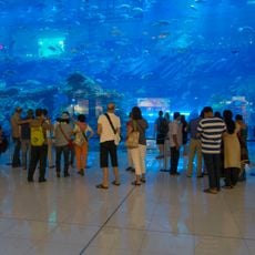 Dubai Aquarium & Underwater Zoo