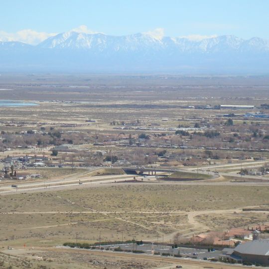 Rosamond