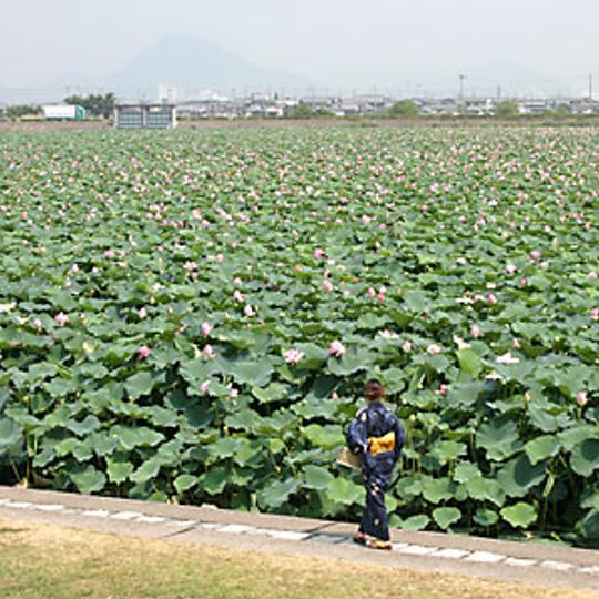 Jardín Botánico Acuático Mizunomori