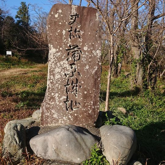 蒲原城