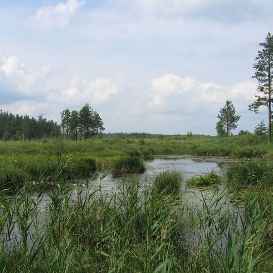 Polissya Nature Reserve