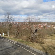 17 Linden (Lindenallee)