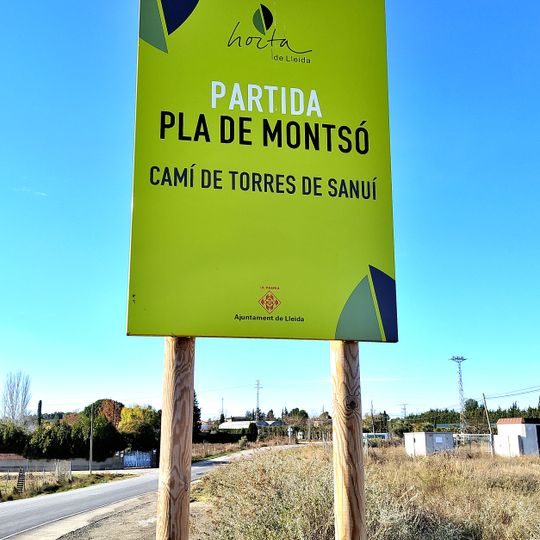 Pla de Montsó