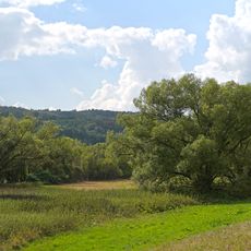 Dillauen bei der Luthermühle