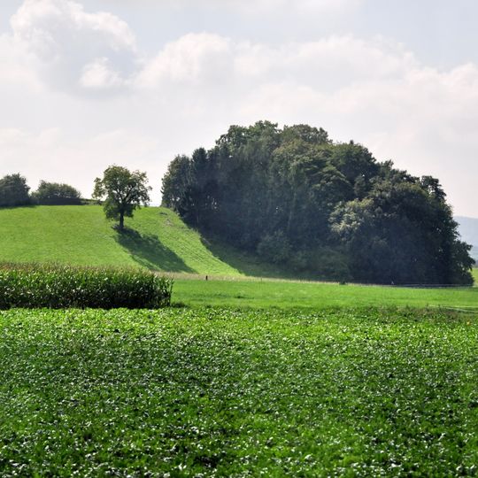 De Chreebuck, early medieval settlement & burial ground