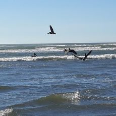 Moclips Ocean Beach Access