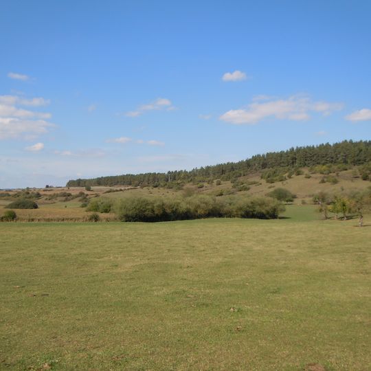 Hungerbühl-Weiherwiesen