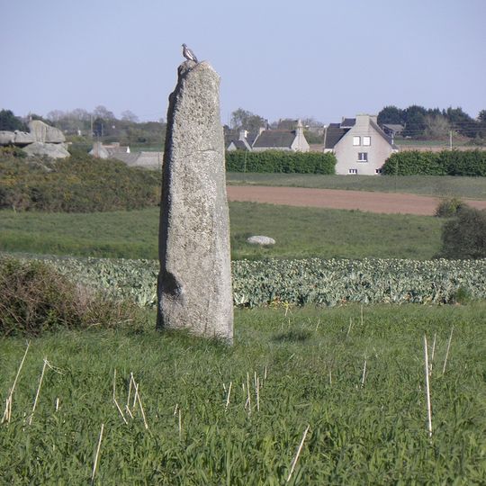 Menhir d'Irvit