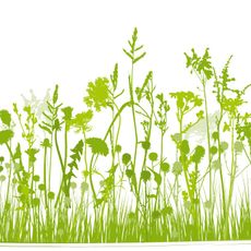 Kräutervitalbad Sebnitz