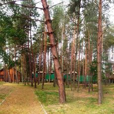 Park linowy