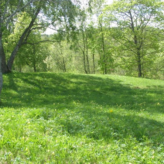 Biržuvėnai hillfort