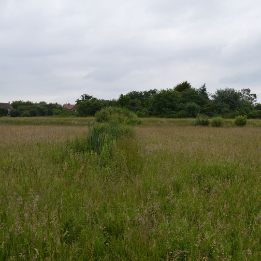 Thornwood Common Flood Meadow