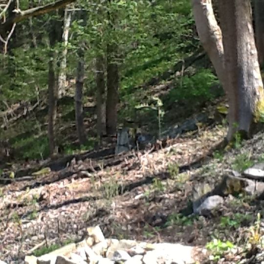 Standseilbahn Kyselka