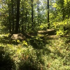 Riserva naturale speciale del Sacro Monte della SS. Trinita' di Ghiffa