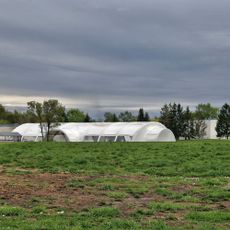 Коровинский луг (Суздаль)