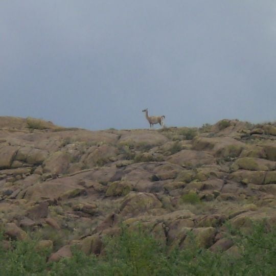 Lihué Calel National Park
