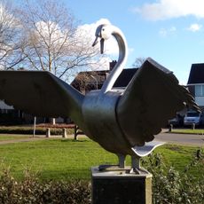 Zwaan