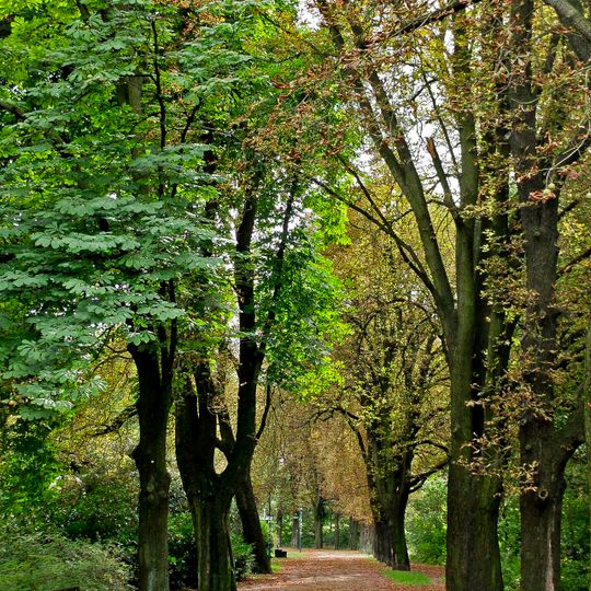 Roßkastanienallee, Ludwig‑Leichhardt‑Allee