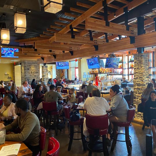 Lazy Dog Restaurant & Bar