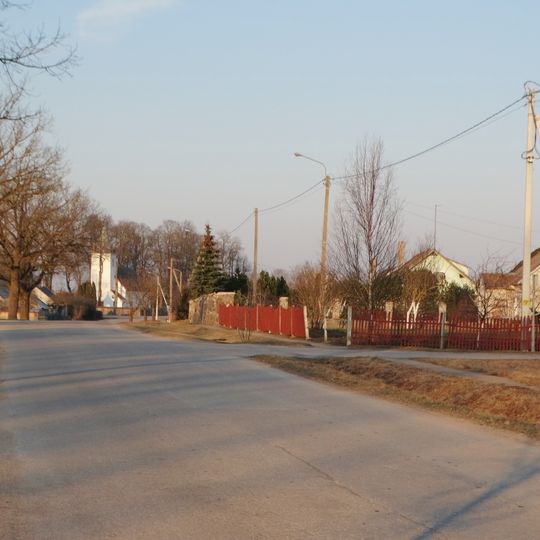 Žarėnai