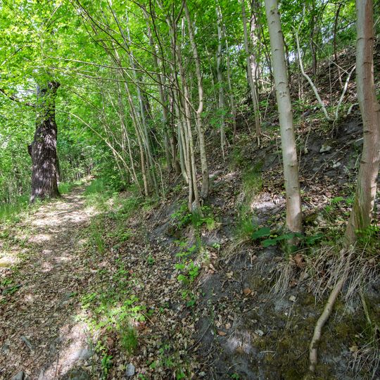 Kemnatenberg und Spitalsberg