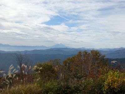 The view 0