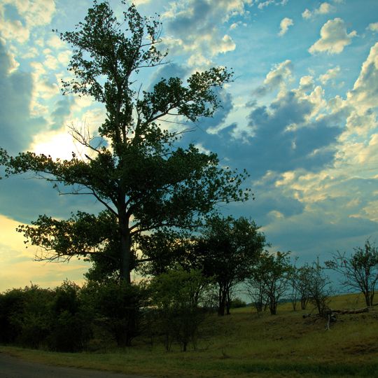 Porphyrkuppenlandschaft nordwestlich Halle