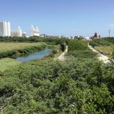 Bubali Bird Sanctuary