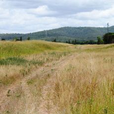 Corduroy Road Remains