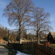 Heřmanické červené buky